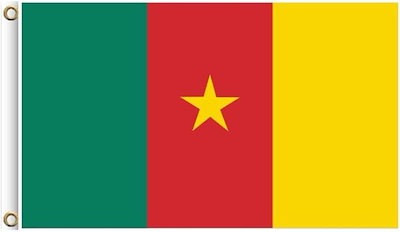 他サイト： 国旗 世界国旗 ハトメ式 フラッグ スポーツ 観戦 応援グッズ 運動会(65.カメルーン共和国, 90x150cm)の商品画像