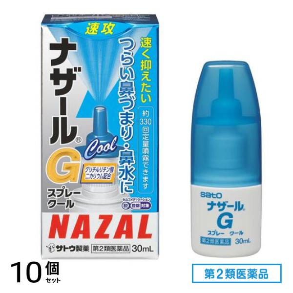 第２類医薬品 ナザールGスプレークール 鼻炎用点鼻薬 30mL 10個セット