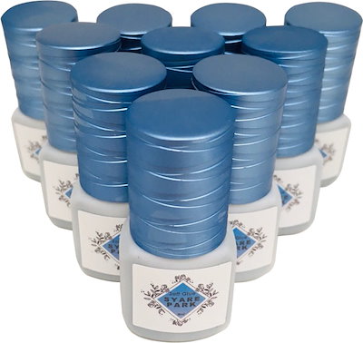 小惑星ベスタ起源のNWA1929隕石標本 【公式通販】