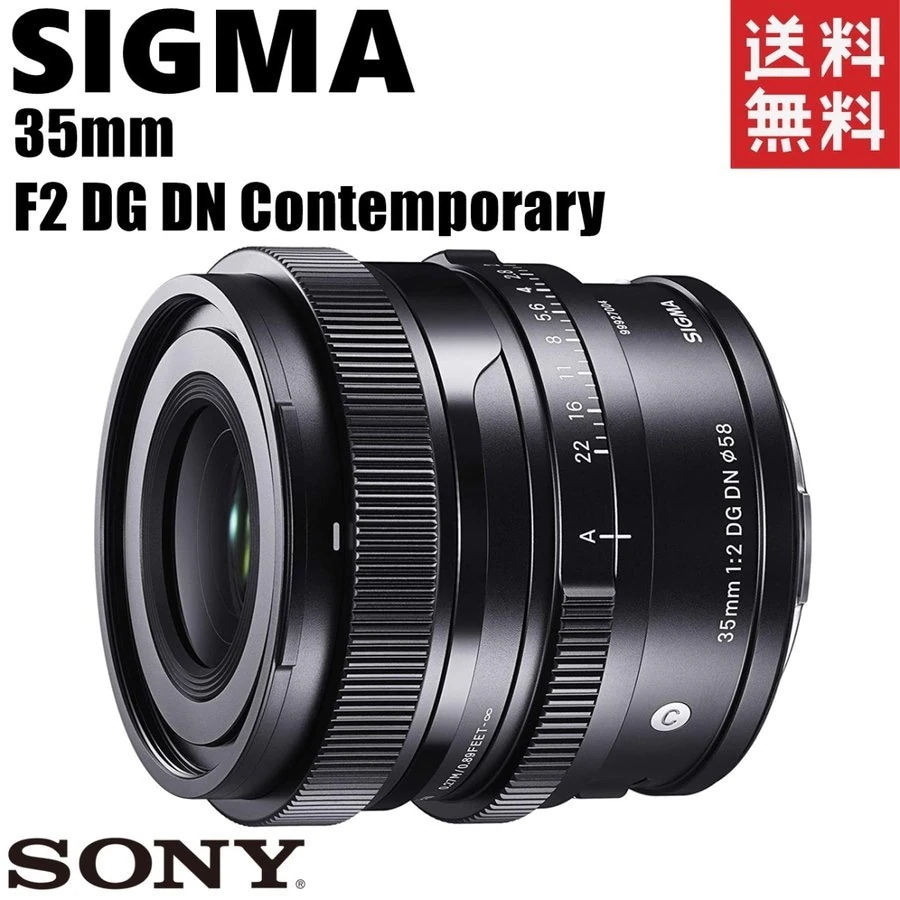 35mm F2 DG DN ソニーEマウント 単焦点 レンズ カメラ 中古