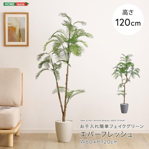 人工観葉植物 エバーフレッシュ 高さ120cm Sサイズ フェイクグリーン お手入れ簡単 観賞用造花 観葉植物 室内ガーデン グリーン