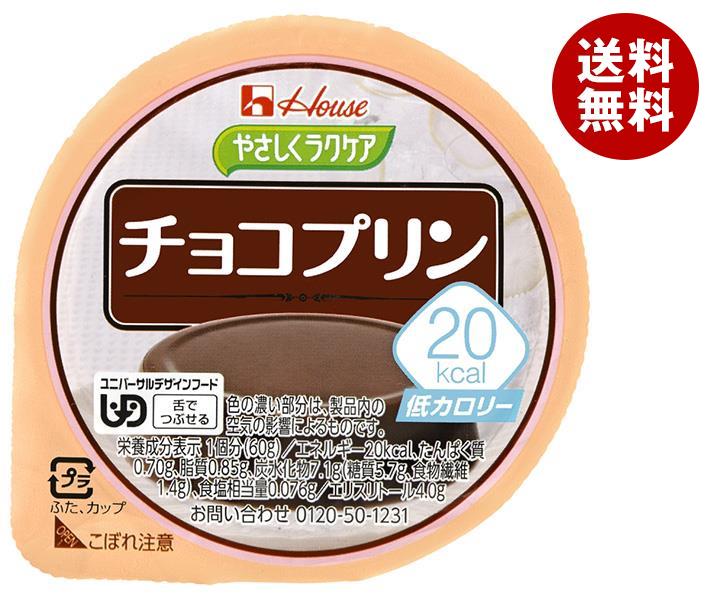 ハウス食品 やさしくラクケア 20kcal チョコプリン 60g＊48個入