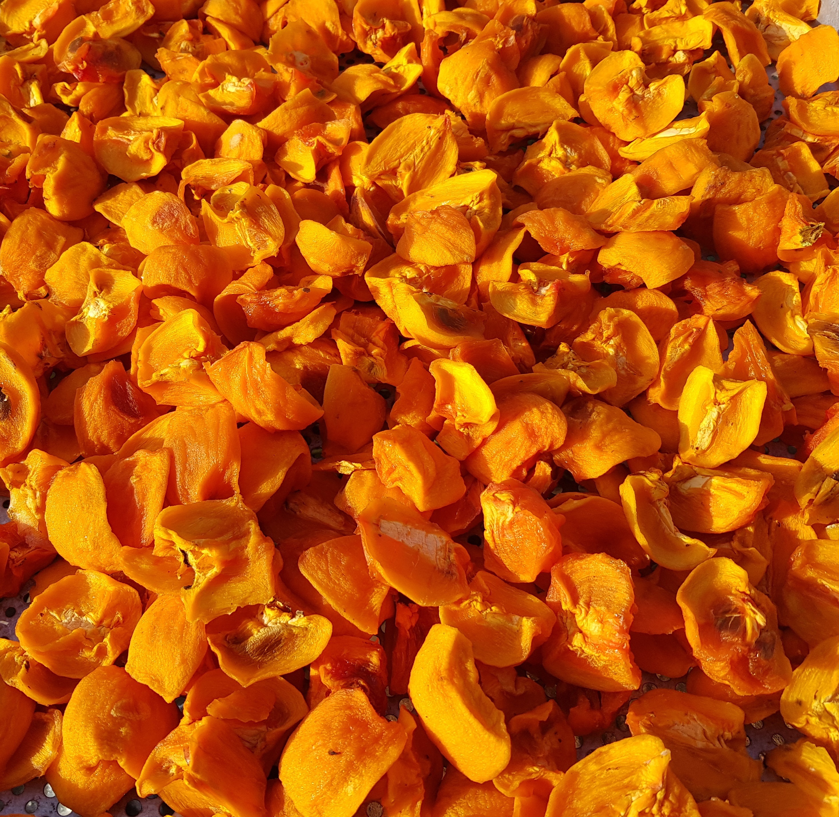 ガンマラン1kgプレゼント用家庭用