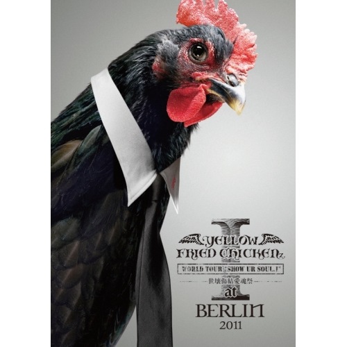 YELLOW FRIED CHICKENz ／ WORLD TOUR*SHOW UR SOUL.I*世壊傷結愛魂祭 at... (DVD) YIBQ-10231