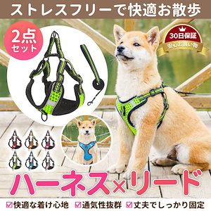 小型犬リード