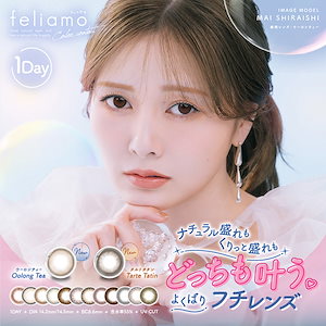 新色追加(1箱10枚) feliamoフェリアモ ワンデー [feliamo-10p][PI]*