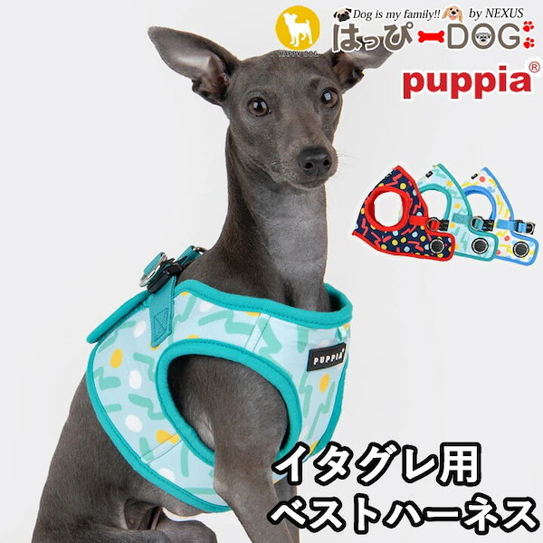 イタグレ 子犬 ハーネス 安い