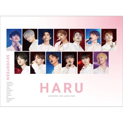 追加プレス分 SEVENTEEN 2019 JAPAN TOUR HARU (DVD) 新品未開封
