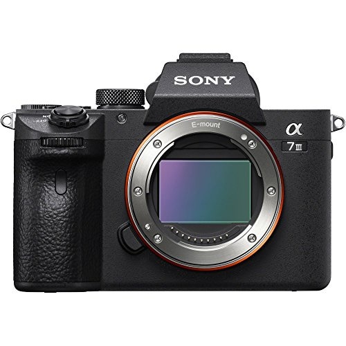 ミラーレス一眼 α7 III ボディ ILCE-7M3