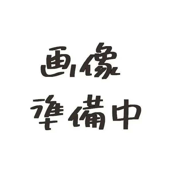 【ヘアケア2点セット】 ルベル シーソー ヘア＆スキャルプシャンプーT 250mL & トリートメントT 200mL タイト LEBEL SEE SAW 8,430円