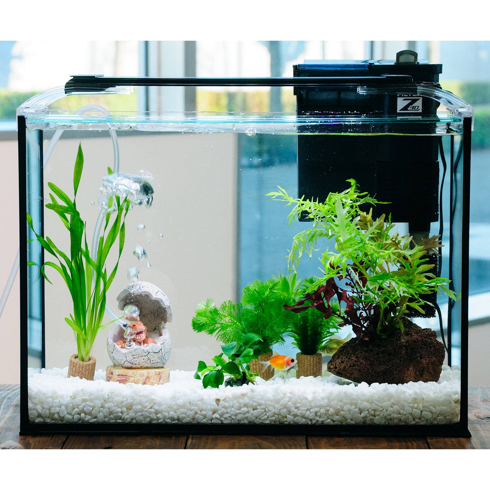 （国産金魚）（水草）簡単ピンポンパール飼育水草レイアウトセット　４０ｃｍ水槽　恐竜の卵ｖｅｒ．　本州四国限定　ＣＲＣ10―11―03―30―20