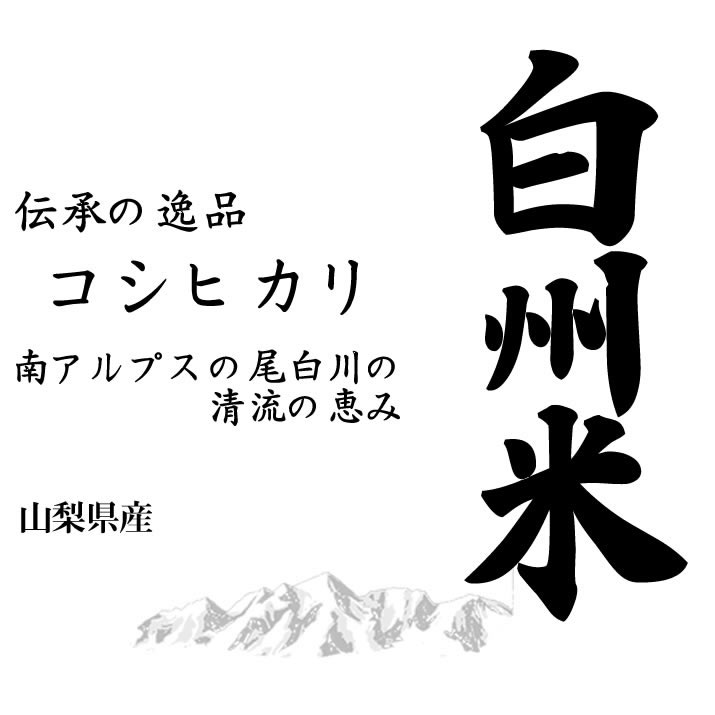 売れ筋ランキングも 新米 日本名水100選 選択可) (白米/玄米/無洗米加工/保存包装 10kgx2袋 白州米コシヒカリ 山梨県産 令和4年産  その他 長期保存包装:する（個別220円/袋） - www.viacaocatedral.com.br