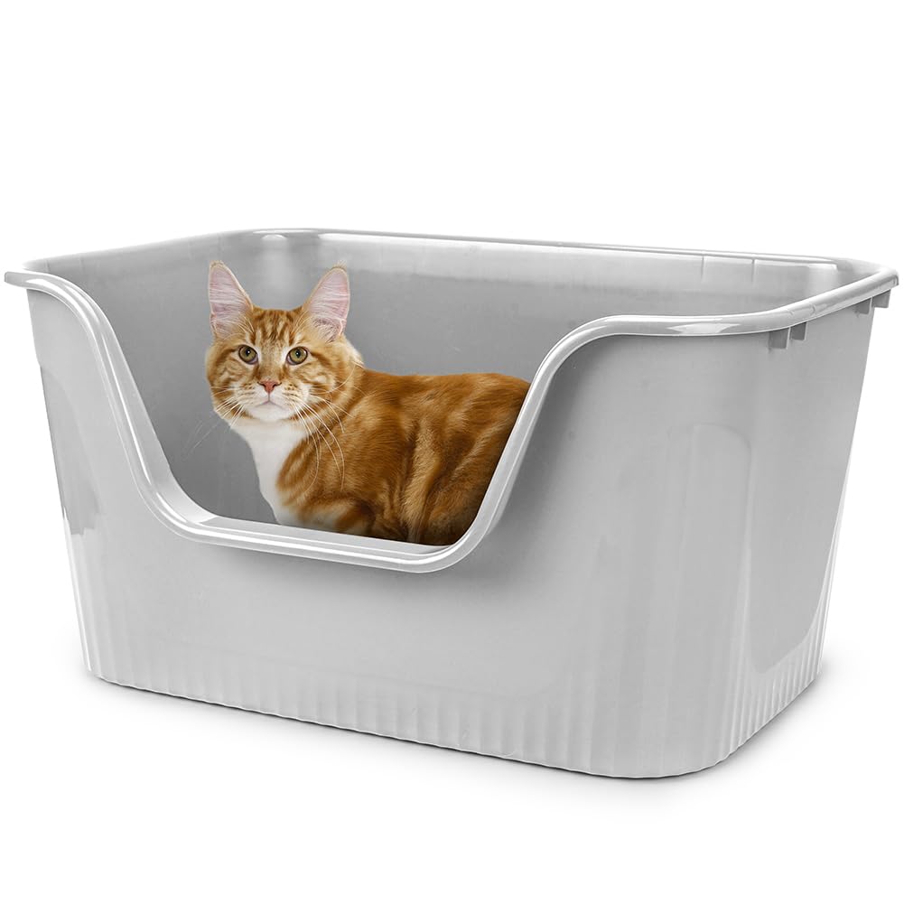 超大型猫用トイレ オープンタイプ 大きい猫 多猫 本体 簡単掃除 清潔 飛散防止 一体成形 幅64×奥45×高33cm（グレー）