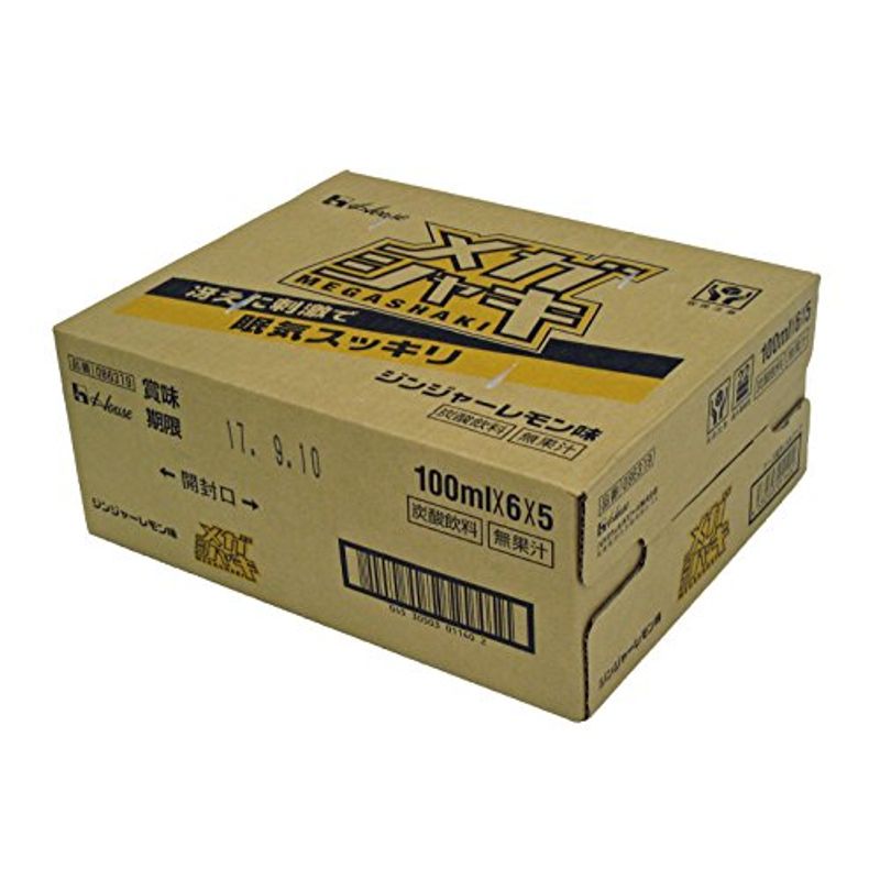 ジンジャーレモン味 A 100ml65