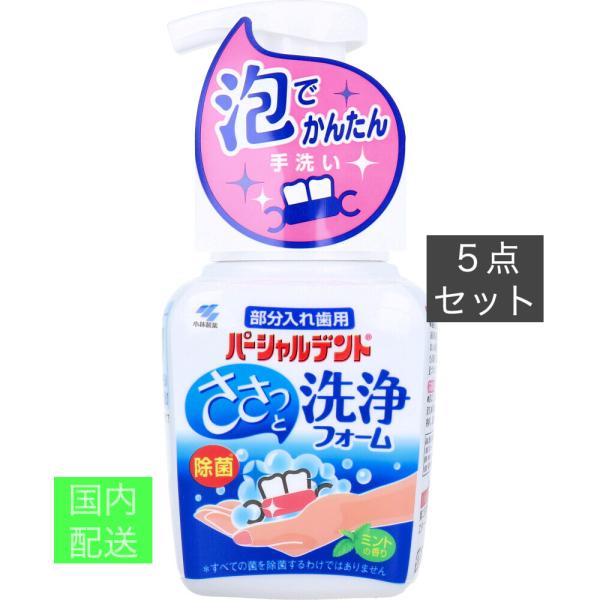 パーシャルデント洗浄フォーム 部分入れ歯用 ミントの香り 250mL x10個セット