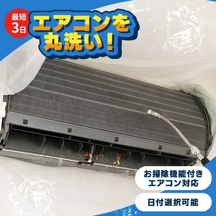 エアコン クリーニング 家庭用 お掃除機能付き 対象 掃除 清潔 スチーム除菌 防カビコーティング カビ 自動清掃付き *