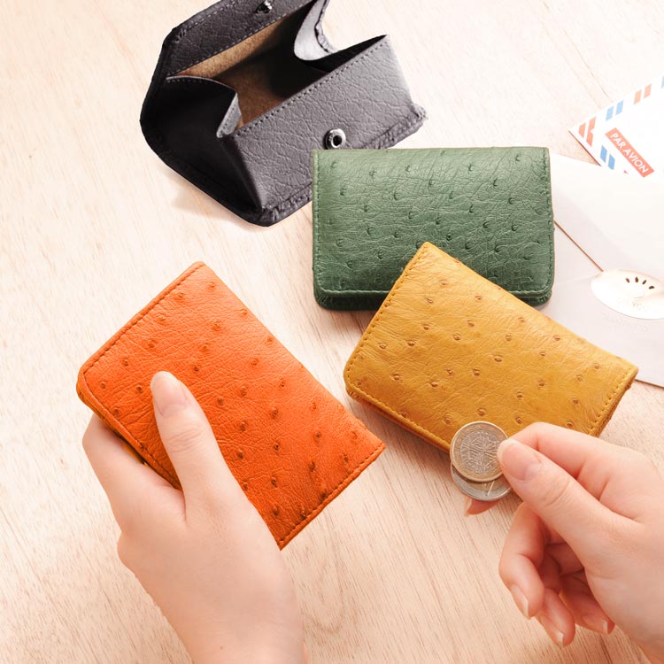 オーストリッチレザーBOX型コインケース ネコポス対応