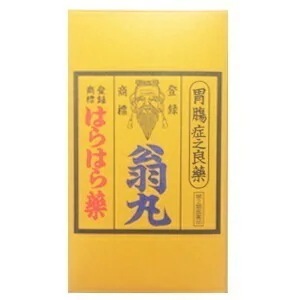 【第2類医薬品】 はらはら薬 翁丸 720錠 おきながん