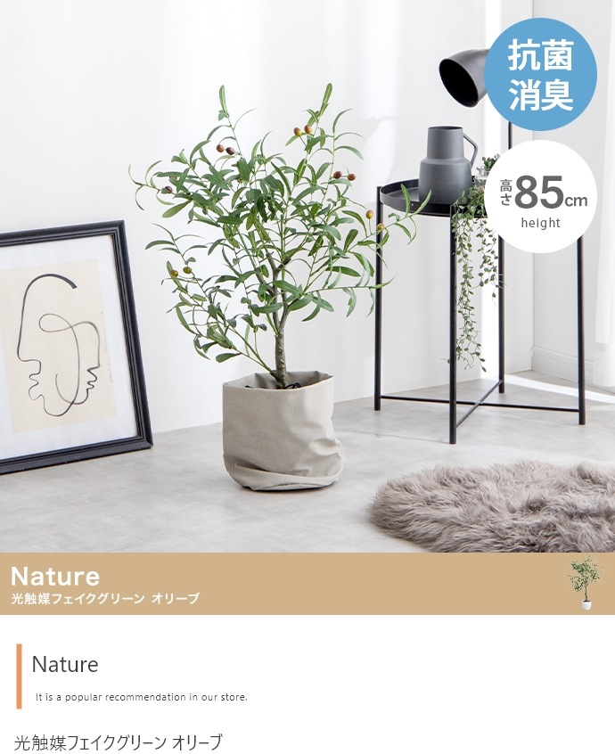 日本未発売】 Nature 高さ85cm 光触媒人工観葉植物 インテリア 家具 162003 オリーブ 観葉植物 -  flaviogimenis.com.br