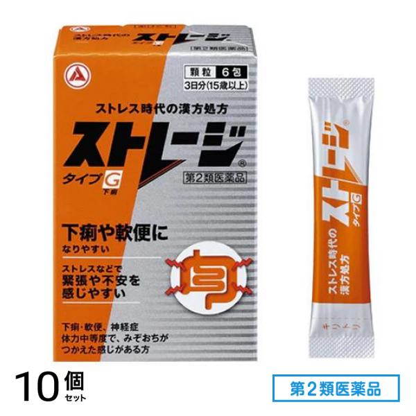 第２類医薬品 ストレージタイプG 6包 10個セット