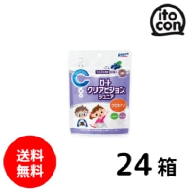 ロートクリアビジョンジュニア 24個