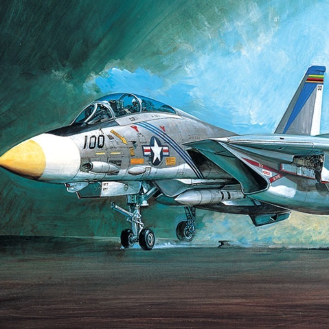 [1/48スケール]米国. 海軍フィガーF-14A Tomcat, アカデミープラモデル#12253