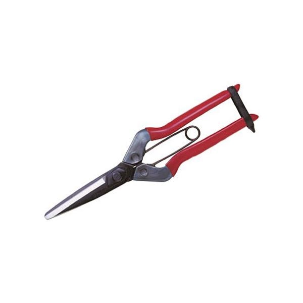 （まとめ）近正（チカマサ） 青果鋏 T-700 1個 [x3セット]