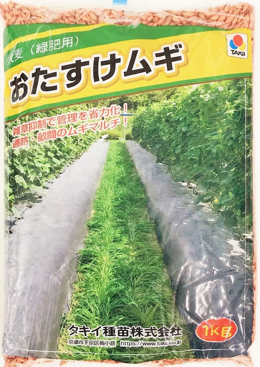 おたすけムギ 大麦種子（緑肥用）10kg タキイ種苗の緑肥 種子 種子は肥料ではありません