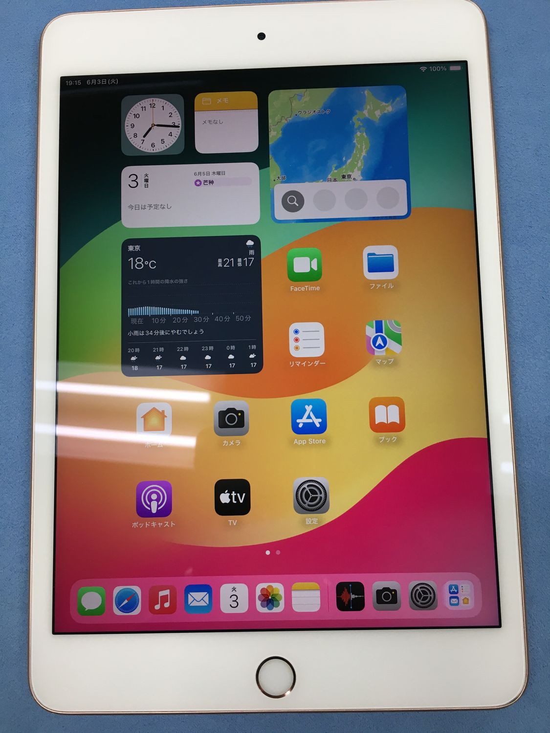 【動作確認・初期化済み】 美品 電池81％ SIMフリー Apple iPad mini 第5世代 256GB ゴールド 光漏れ 訳あり 19,460円