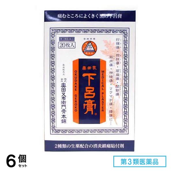 第３類医薬品 奥田家下呂膏(げろこう) 20枚入 6個セット