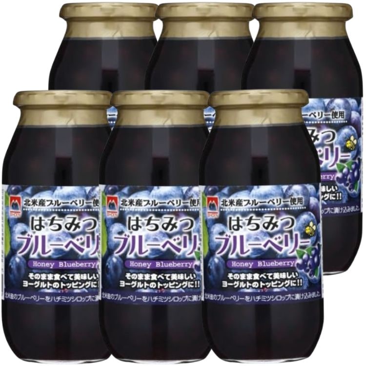 6個セット 加藤美蜂園本舗 はちみつブルーベリー 650g ハニー はちみつ ブルーベリー