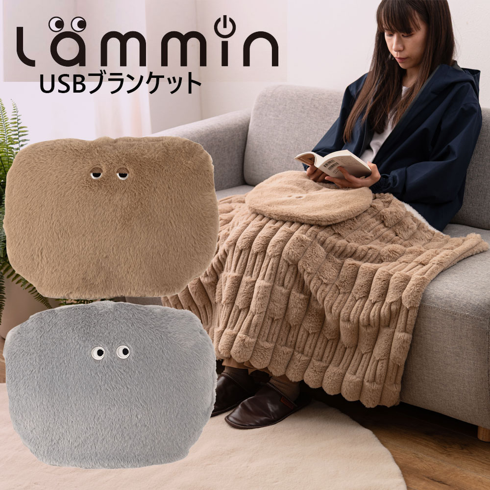 もこもこあったか小物 USBブランケット ひざ掛け 毛布