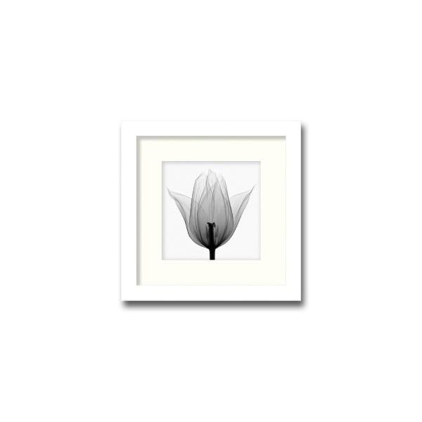 ファブリックパネル アートフレーム 飾り 花 優雅 きれい 壁掛け ウォールデコレーション 幻想的 植物 レントゲン 近代アート 350x350mm