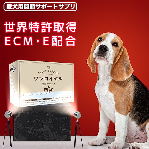 スーパーsale限定 ブリスミックスドッグフード中粒13 6 犬用品 Buy2rent Eu