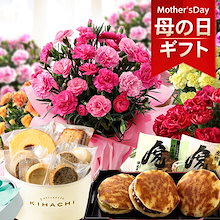 母の日 2025 プレゼント 花 ギフト 花とスイーツ セット 鉢植え カーネーション 5号鉢 ピンク レッド お菓子 イベントギフトD