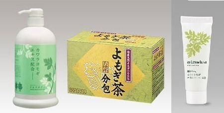 お肌うるおいよもぎセット 送料無料（アルテボディアルテナチュラル25gよもぎ茶50パックたまごクラブ掲載！）（健康茶）ぷれまままま赤ちゃんに（おまけ付）リピ特典fs04