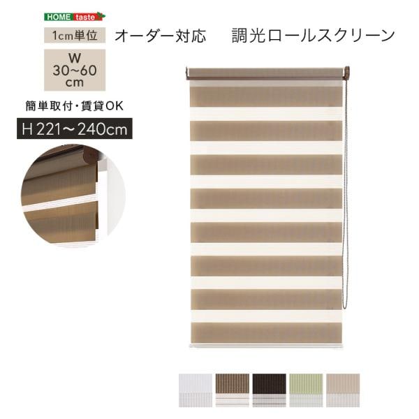 ロールスクリーン 調光 取付簡単 賃貸物件対応 目隠し おしゃれ カーテン ブラインド 1cm単位でオーダー可能 幅30～60cm×高さ221～240cm