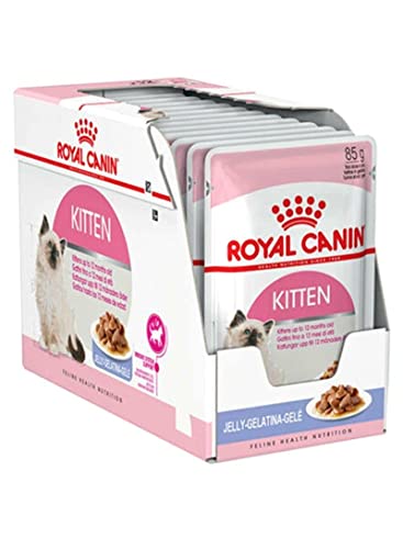 ロイヤルカナン キトン ゼリー (猫専用ウェットフード 子猫用)85g×12個