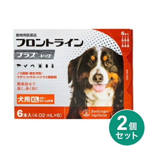 【2個セット】 フロントライン 犬用 XL 40~60kg未満 6本入 ノミ 蚤 ダニ ハジラミ 駆除剤 駆除液 動物用医薬品 ペット用医薬品 中型犬 大型犬 フロントラインプラスドッグ(代引不可)