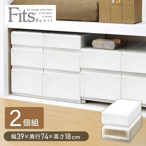 フィッツユニットケースL 3918/2個組