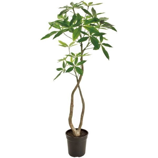 FG022000 造花 パキラ 4FGREEN メーカー直送