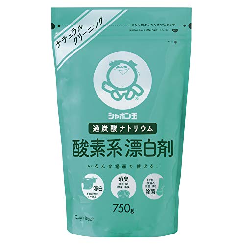 酸素系漂白剤 ７５０Ｇ 10点