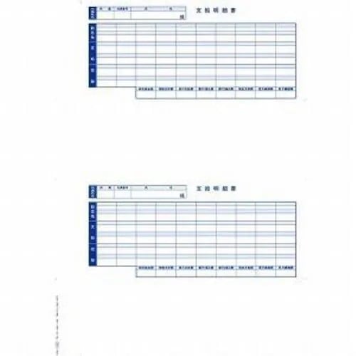 オービックビジネスコンサルタント 支給明細書パックシール付