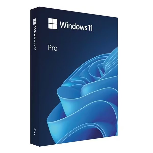 Windows 11 Pro ���{���