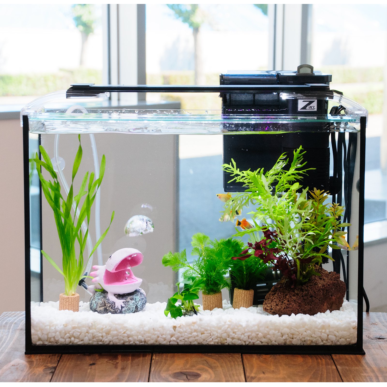 （熱帯魚）（水草）簡単イエローミッキーマウスプラティ飼育水草レイアウトセット　４０ｃｍ水槽　ウーパールーパーｖｅｒ．　本州四国限定　ＣＲＣ10―11―03―30―20