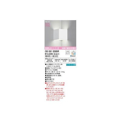 極美品　バートン スノーボードブーツ モト　25.5cm マウンテンロゴ　24年 オーデリック ODELIC OB081026BR ランプ別梱包