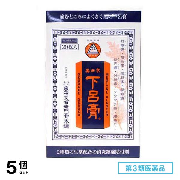 第３類医薬品 奥田家下呂膏(げろこう) 20枚入 5個セット