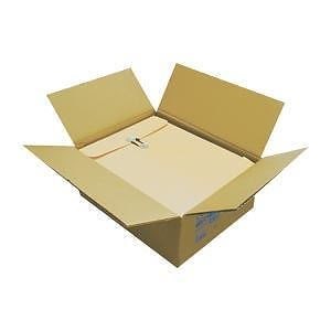 （まとめ買い）PB保存袋 A4用 50枚入 A CR-HBA450 00001671 [x3]