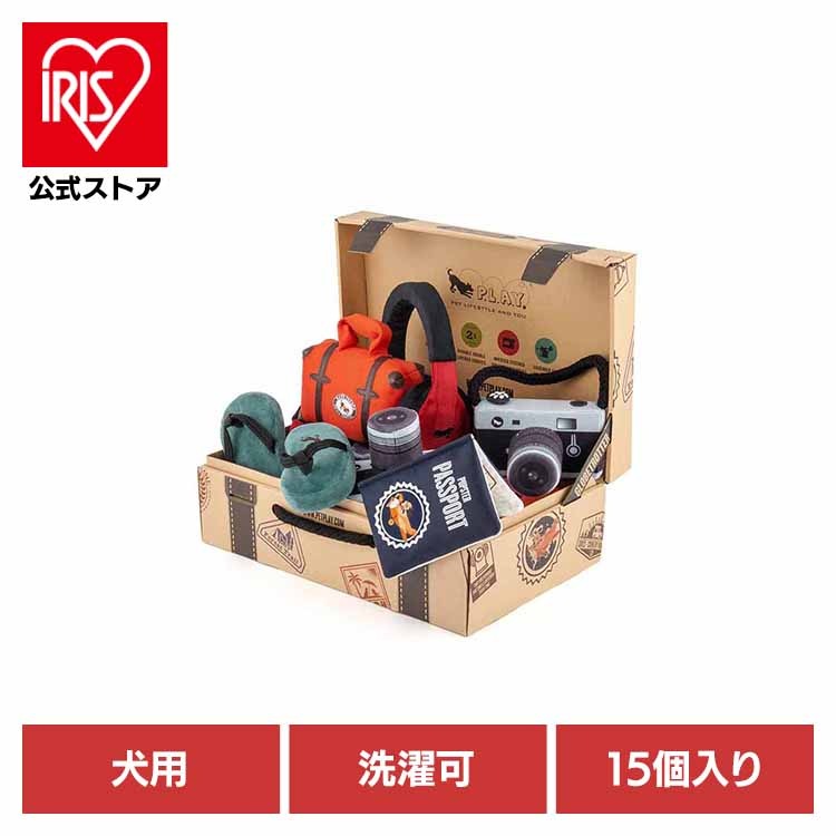 【人気商品】グローブトロッターBOXセット（15個入り） ルークラン
