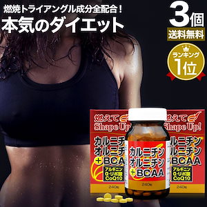 カルニチン・オルニチン＋BCAA 240粒*3個 約90-120日分 カルニチン lカルニチン エルカルニチン リポ酸 bcaa コエンザイムq10 サプリメント サプリ